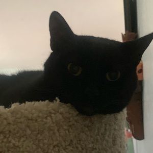 Meet your Posher, Kate